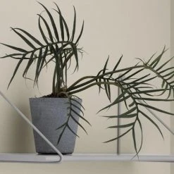 PANOLA Wall Shelf With Coordinating Wall Brackets - Set 13 PANOLA Wall Shelf With Coordinating Wall Brackets - Set