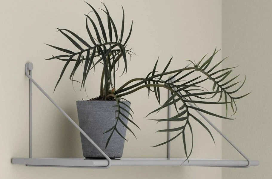 PANOLA Wall Shelf With Coordinating Wall Brackets - Set 6 PANOLA Wall Shelf With Coordinating Wall Brackets - Set