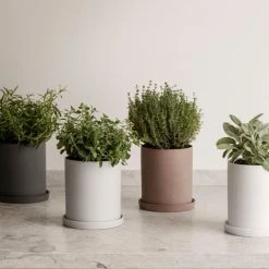 New Arrivals NONA Porcelain Herb Pot Medium