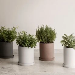 New Arrivals NONA Porcelain Herb Pot