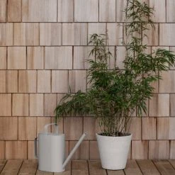 RIGUA Watering Can - 1.3 Gallon New Arrivals 9 RIGUA Watering Can - 1.3 Gallon New Arrivals