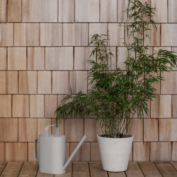 RIGUA Watering Can - 1.3 Gallon New Arrivals 5 RIGUA Watering Can - 1.3 Gallon New Arrivals