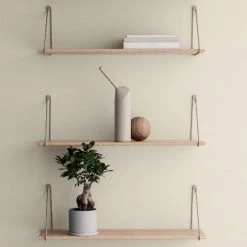 Now Trending COLIBRI Watering Can